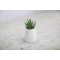 Marble Planter Pot 