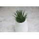 Marble Planter Pot 