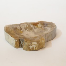 PETRIFIED BOWL 1