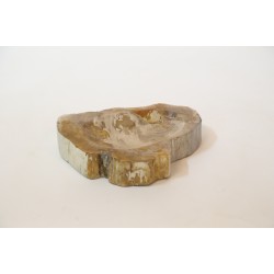 PETRIFIED BOWL 1
