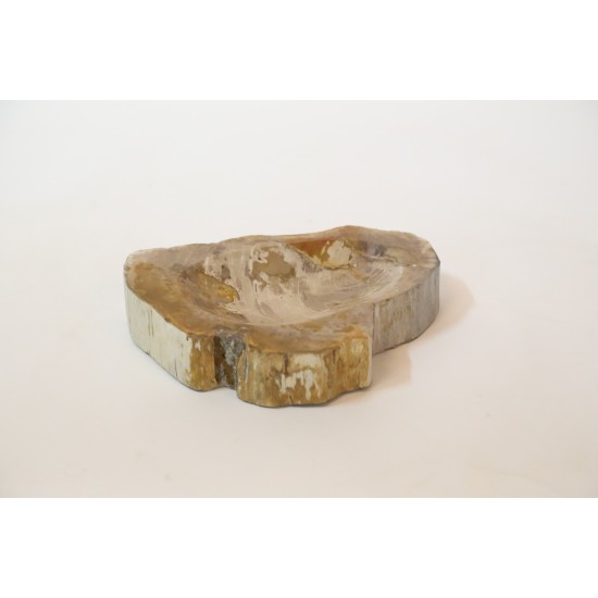 PETRIFIED BOWL 1