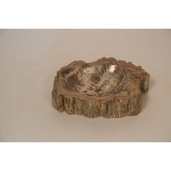 PETRIFIED BOWL C2