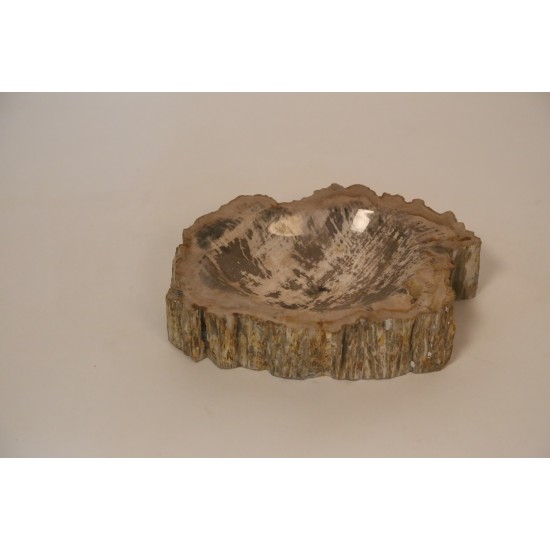 PETRIFIED BOWL C2