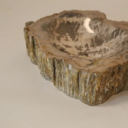 PETRIFIED BOWL C2