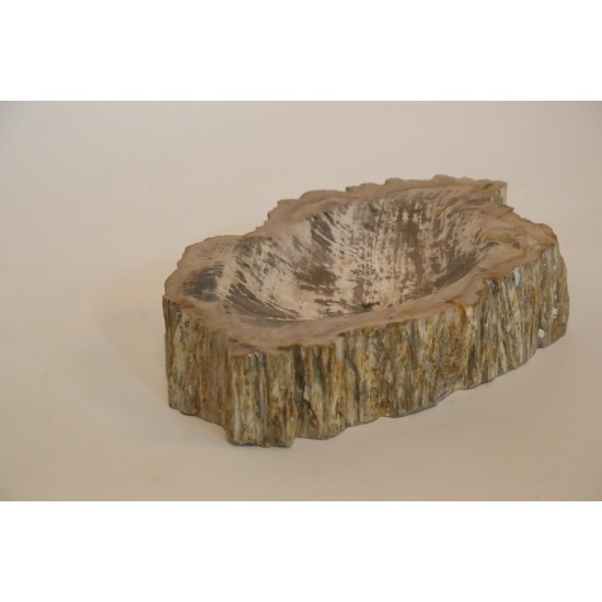 PETRIFIED BOWL C2