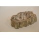 PETRIFIED BOWL C2