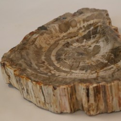 PETRIFIED BOWL 1