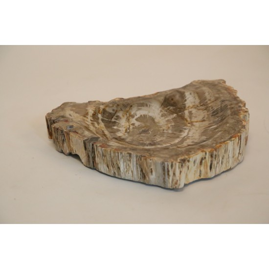 PETRIFIED BOWL 1